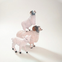 American AAA Genuine Bulk Cargo Farm Emulation Animal Model Public Sheep Sheep Lamb