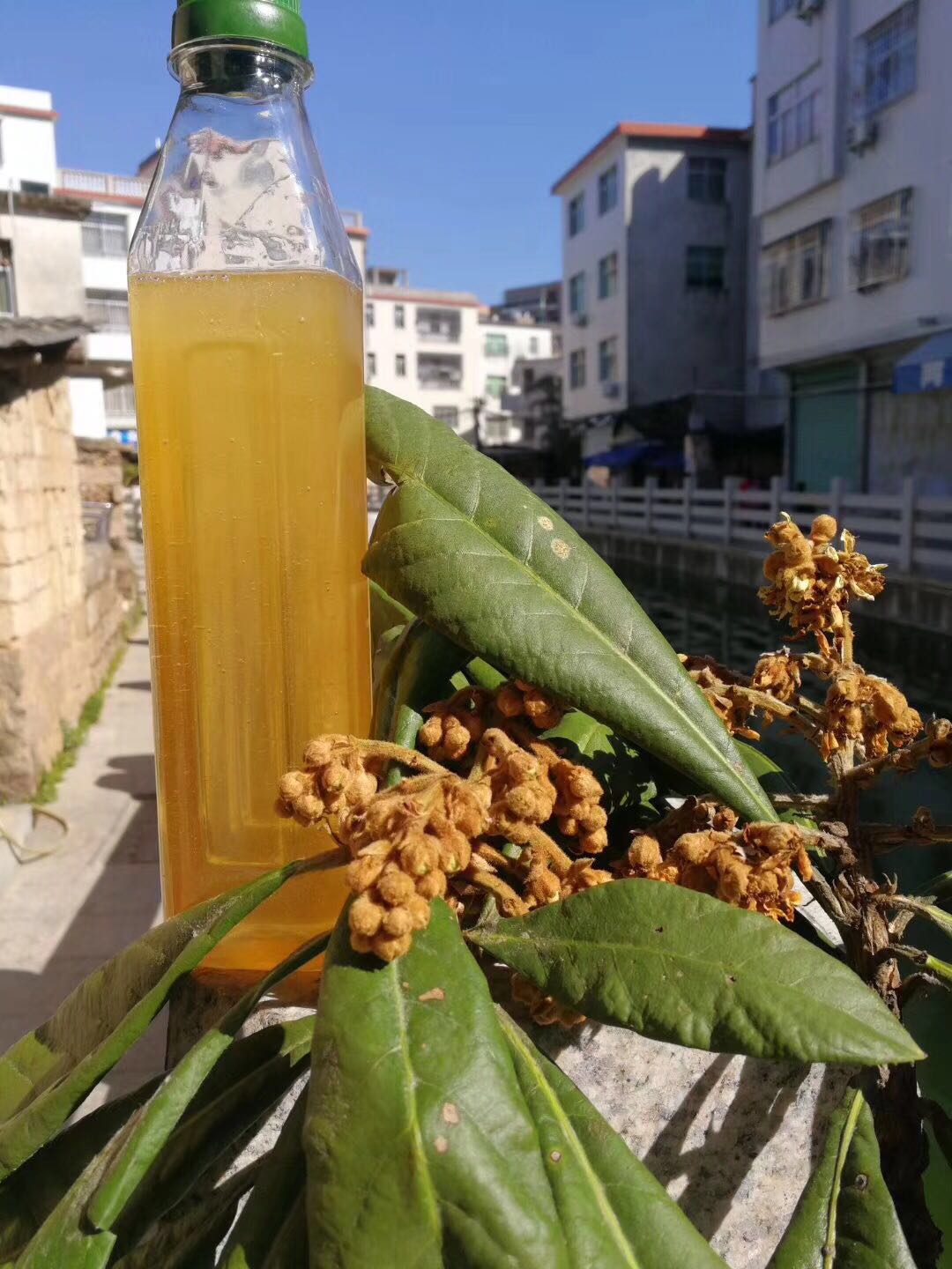 2020 honey natural farmyard honey self-produced wild zero Add native honey lychee honey 1200g Fujian produce