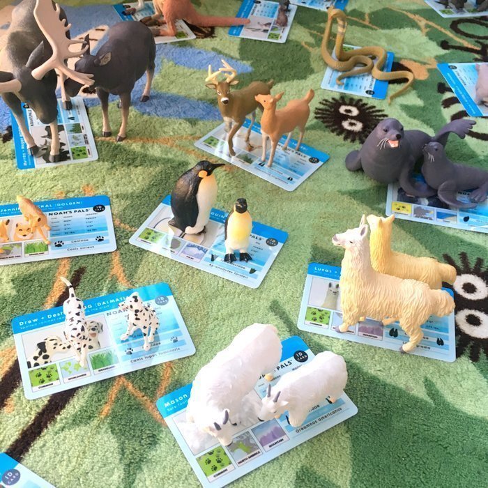 Exported to the United States Noah's Ark Animal Plastic Model Animal Couple with Id Card Cognitive Game