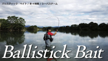 Japan YAMAGA Ballistick Bait new series gun handle sea bass rod Luya Rod