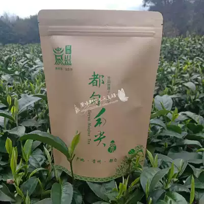 Guizhou Duyun Maojian Alpine Alpine green tea 2021 new tea spring tea bag 250g small leaf species