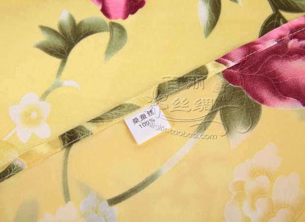Hàng Châu Silk 100% Silk Silk Silk Silk Gối Gối Vỏ Champagne Champagne Gối Giá trị Đặc biệt - Khăn gối khăn trải gối