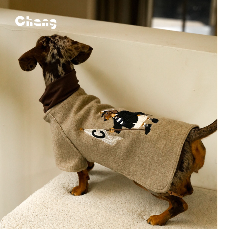 Chang | Bao Yu Knitted Sweater | The Jia Baoyu Kint | Dachshund Clothes