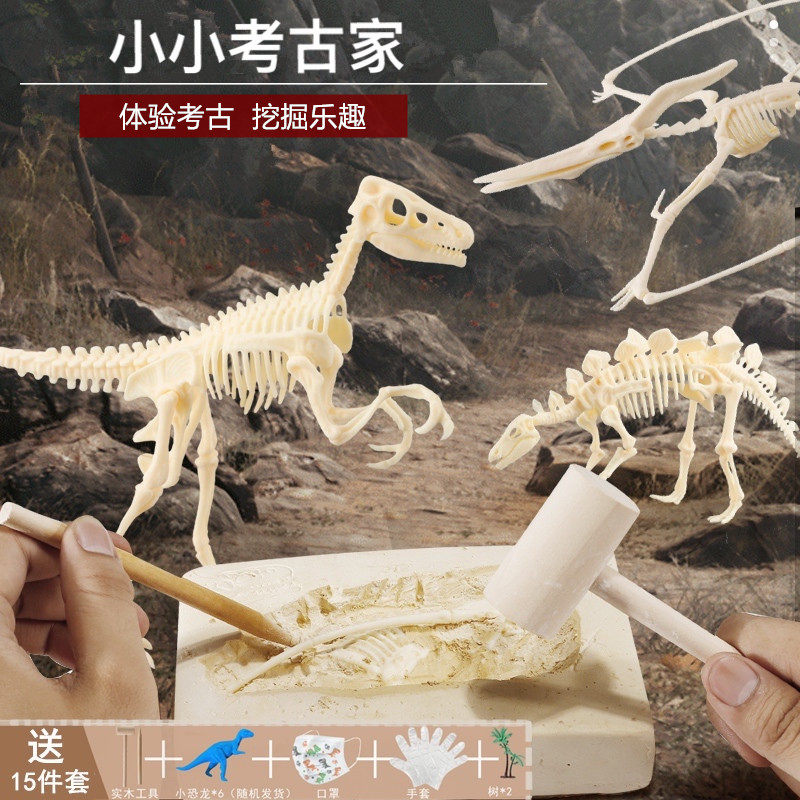 Children's hand treasure archaeological small dinosaur fossil digging toy DIY coloring assembly master King Sky Model 3