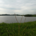 nước Po Po đuôi mèo mền xơ dính nhung cattail nhung gối gối xông thảo dược nến nến chăm sóc tóc cổ tử cung để giúp giấc ngủ - Gối gối chống trào ngược monmon Gối