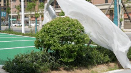 Plant Covers for Freeze Protection