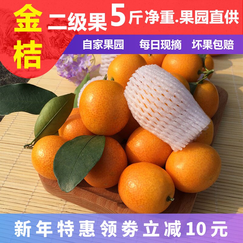 Guangxi Yangshuo oil-skin kumquat Non-Rongan crispy kumquat Guilin fresh freshly picked fruit small oranges 5 pounds