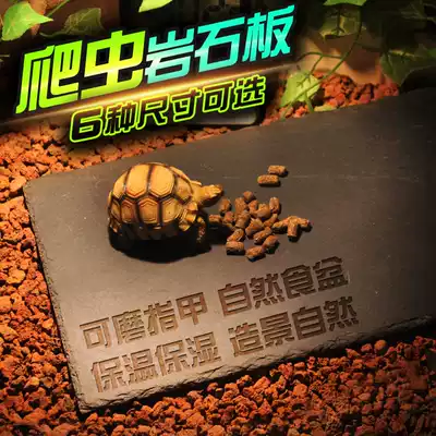 Reptile lizard food Basin Rock slate plate tortoise stone slab mat grinding creeper supplies feeding box landscaping rock slab