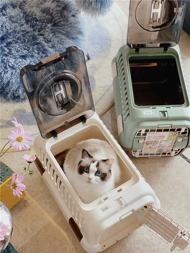 Lipkle Pet Air Box Care Cage и держите коробку для маленькой собачьей кошки из портативной космической кошки сумки для кошки