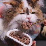 Mei Shi Cat Convined Bound Food Tank Cat может натуральная влажная пищевая пищевая продукция 75 г (один разделен на два)