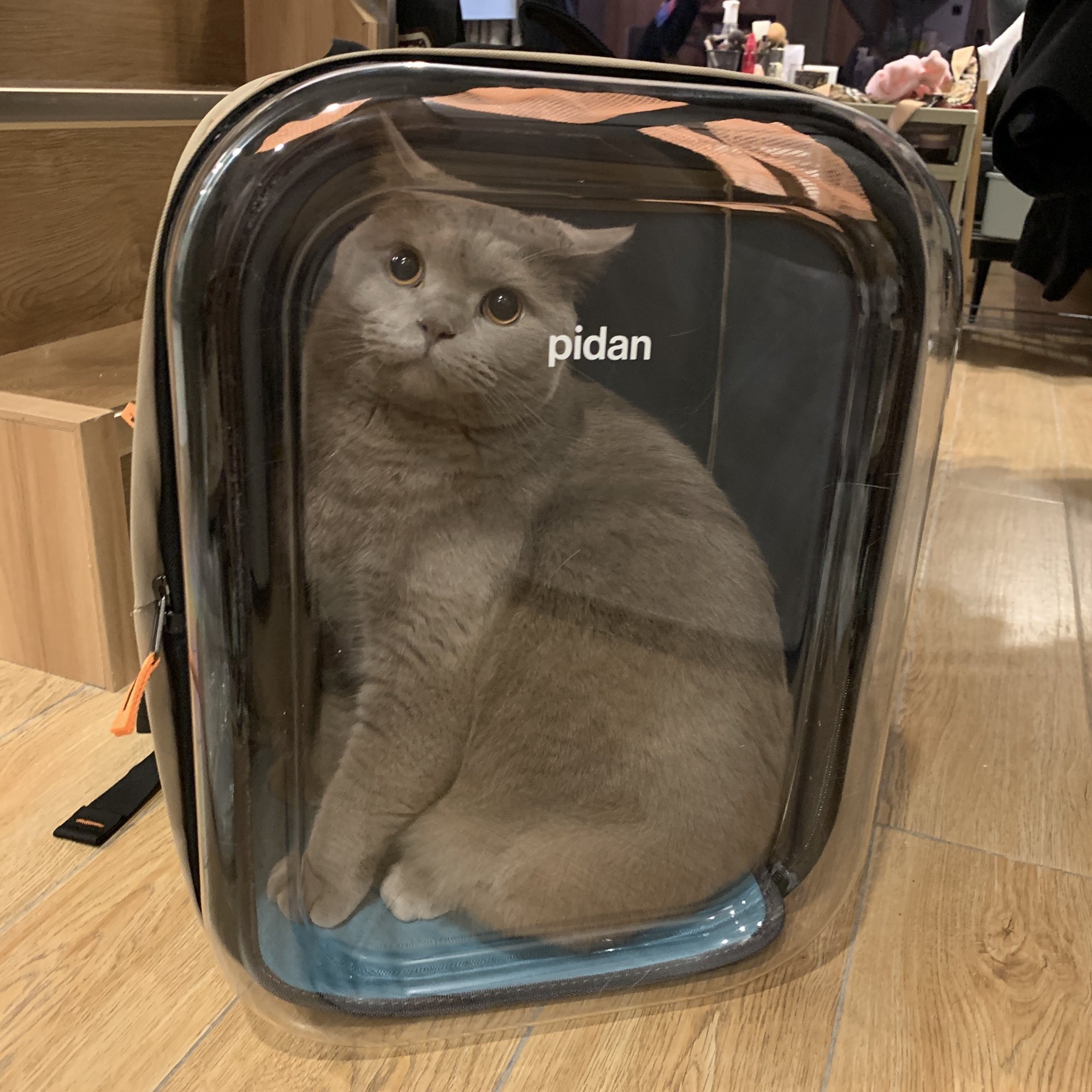 pidan pet Bag Cat Bag Out of portable space cabin Breathable Double Shoulder Bag Hand Carry Large Size Can Fold