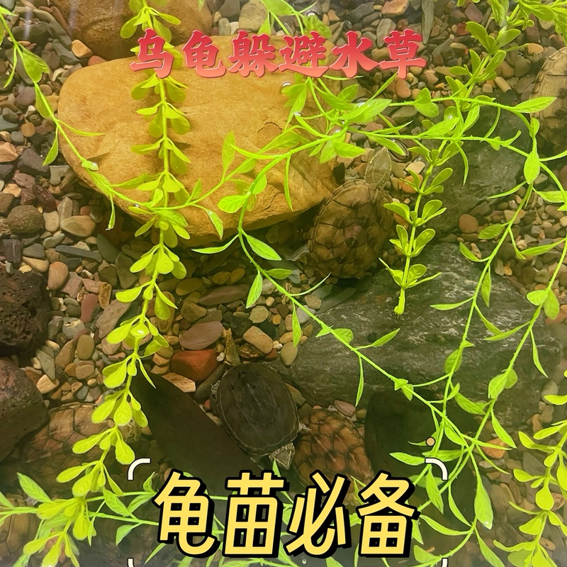 Simulated Aquatic Plants for Fish Tanks and Turtle Tanks, Fake Aquatic Plants for Turtle Hatchlings, Prevent Biting of Tails, Prevent Bites, Prevent Drowning, Turtle Raising Tool Simulated Aquatic Plants for Fish Tanks and Turtle Tanks, Fake Aquatic Plants for Turtle Hatchlings, Prevent Biting of Tails, Prevent Bites, Prevent Drowning, Turtle Raising Tool