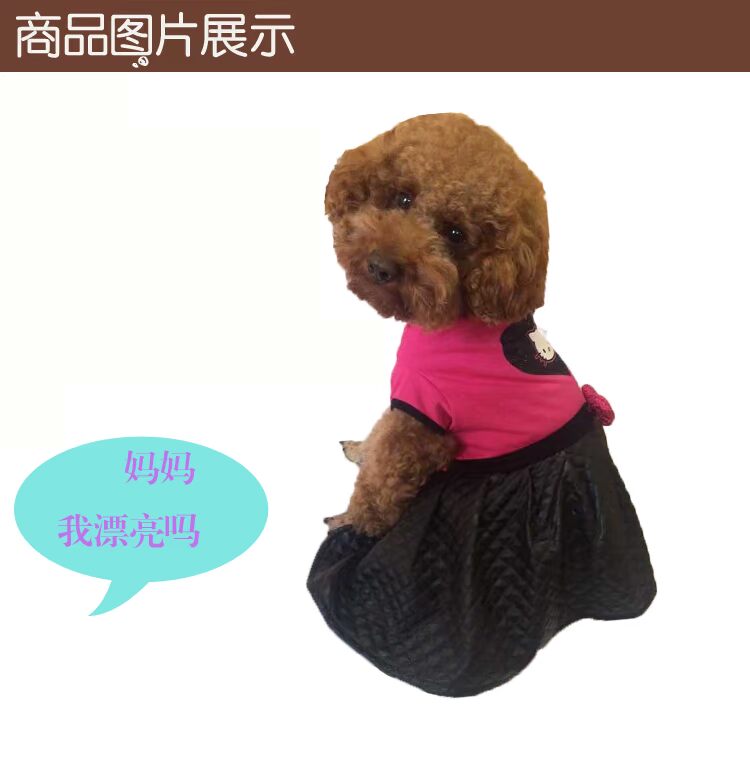 Teddy váy chó quần áo mùa thu và mùa đông hơn so với Xiong Bomei mèo trang phục công chúa thú cưng váy chó quần áo mùa đông - Quần áo & phụ kiện thú cưng áo cho poodle