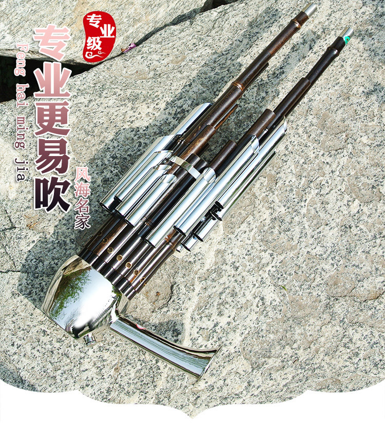 现货速发新艺精致加键扩音笙大全圆竽修笙工具笙包24加键簧笙-D调,吹响传统音乐的魅力!🎶-笙-淘宝百科网