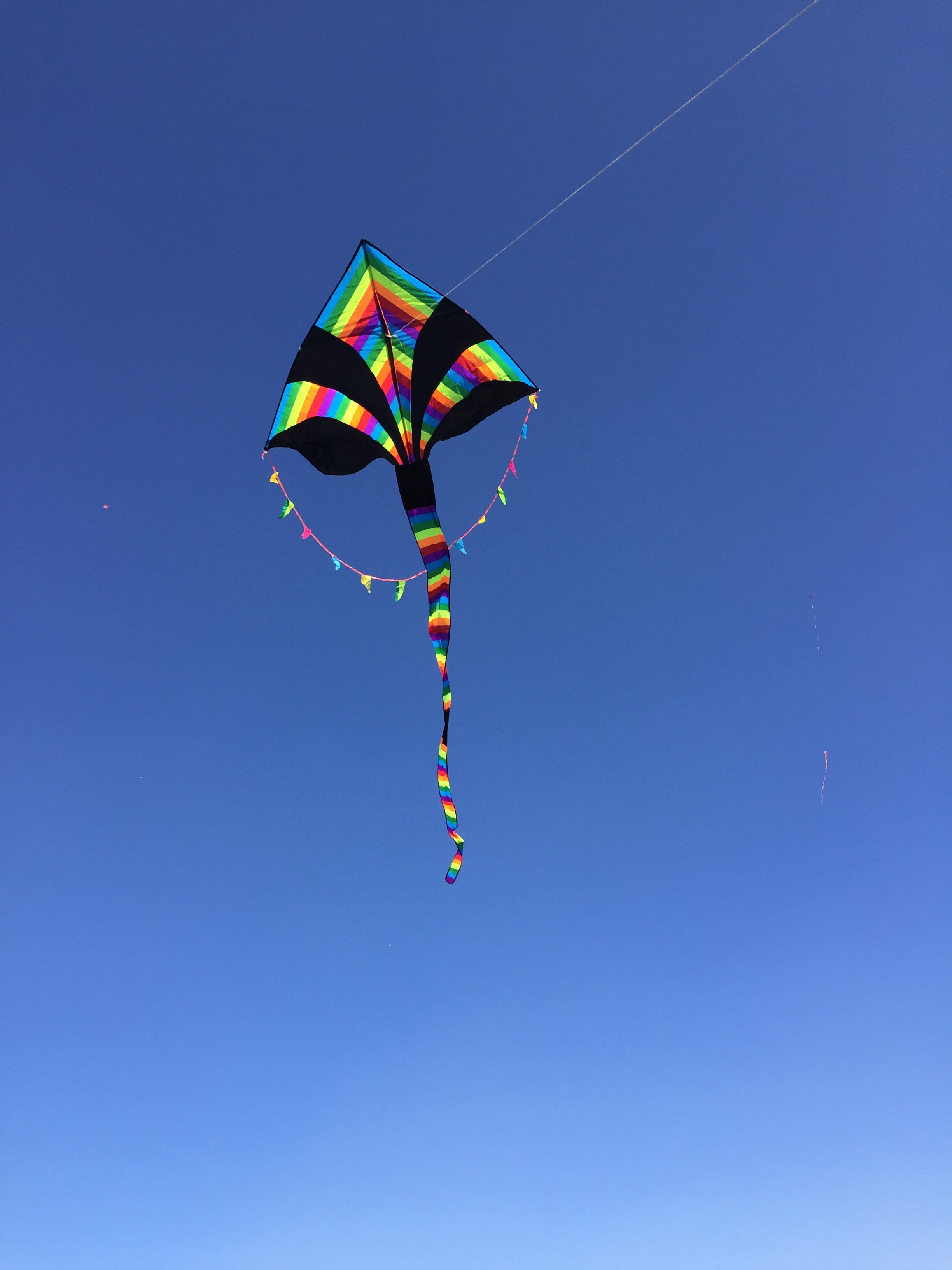 Tianfei colorful kite in Kunming City, Yunnan Province