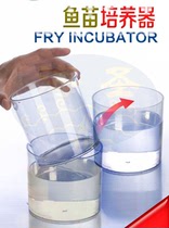 斑马鱼胚胎培养器实验斑马鱼胚胎孵化器幼苗养殖器