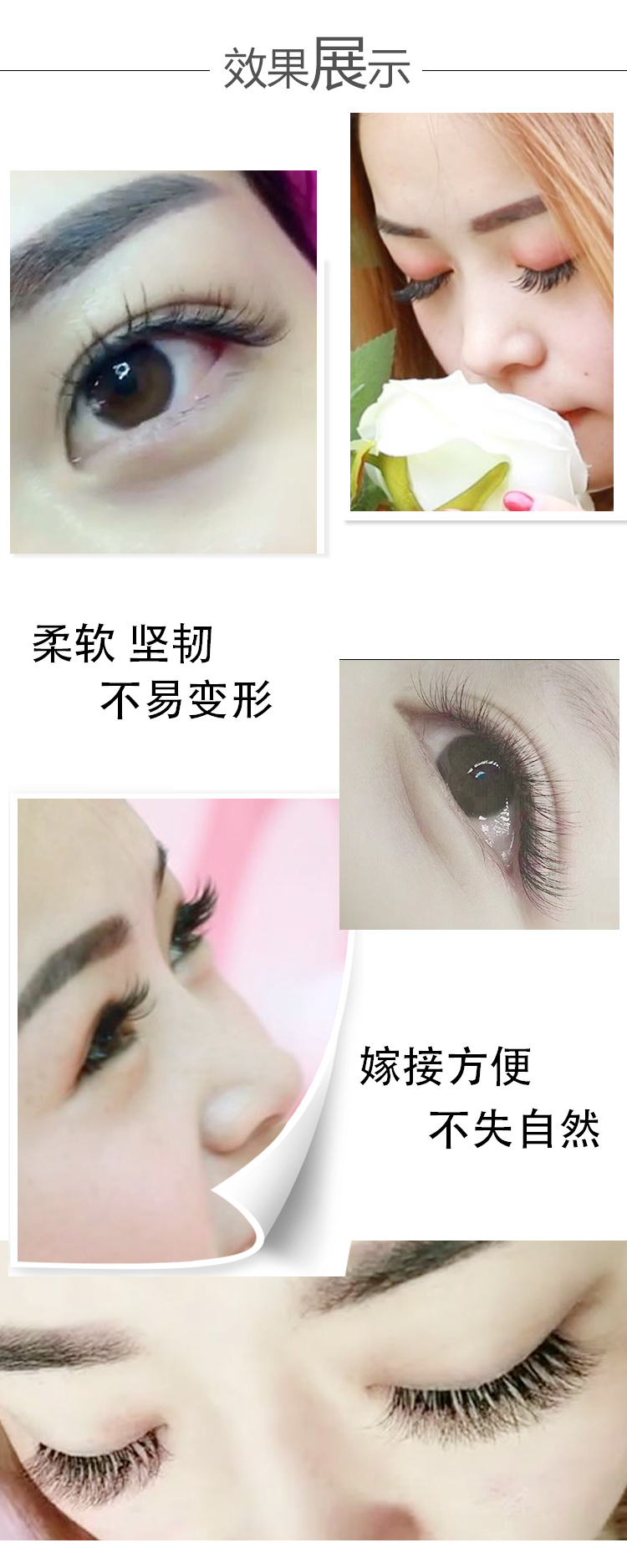 Camellia một giây hoa ghép lông mi từ tính tự động ra hoa trồng lông mi giả tự nhiên mềm bờm dày mi giả 5d