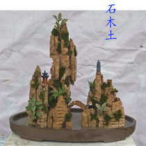 Special bonsai water absorbent stone bonsai bonsai rockery rockery bonsai town house with Basin