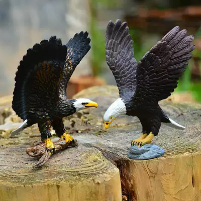 Eagle Bald Eagle Snow Eagle Simulation Animal Model Dolls Wildlife Birds and Birds Plastic ornaments Children's Toys