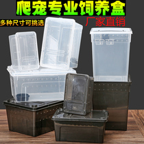 Reptile breeding box reptile pet box silkworm baby spider horned frog gecko box lizard pet snake snail insect turtle tank