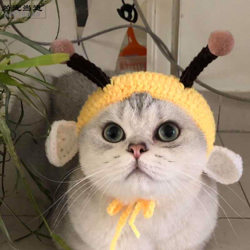 Original little bee hat pet cap cat hat changed hat hand-knitting brief short puppet taddy