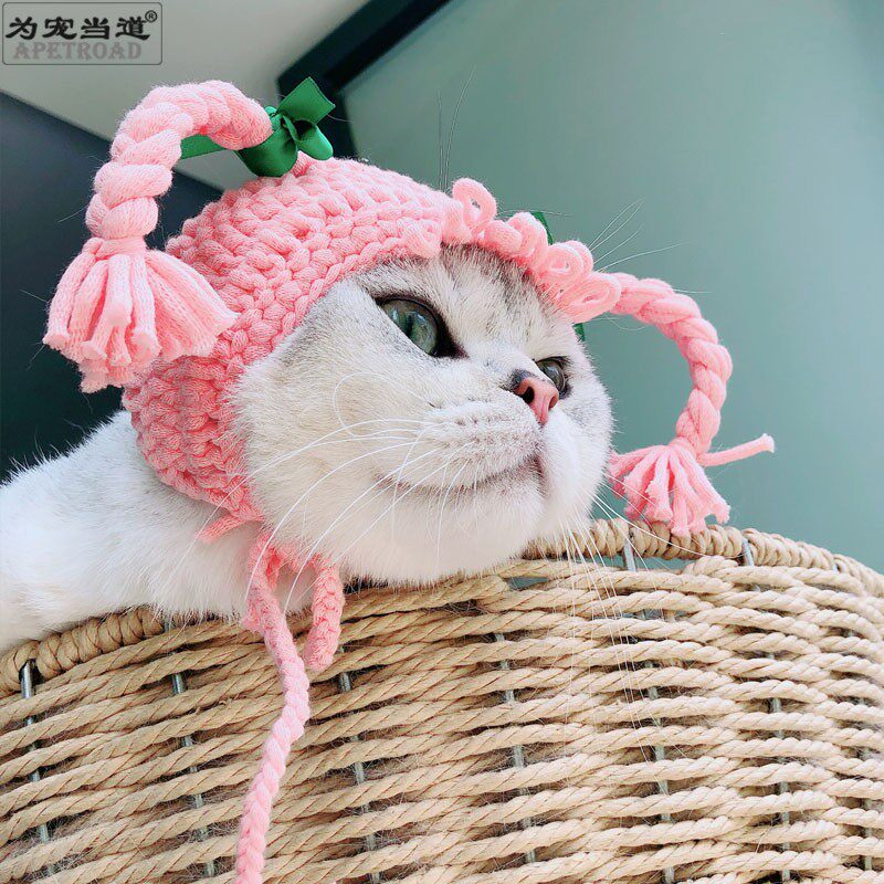 Pet hat little girl braids cat hat braids hat Lena bear dress cap hand-woven Korean braids