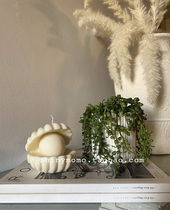 Shinymomo homemade handmade shell candle net red ins blogger