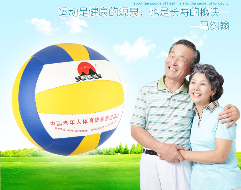 Ballon de volley-ball - Ref 2010660 Image 7