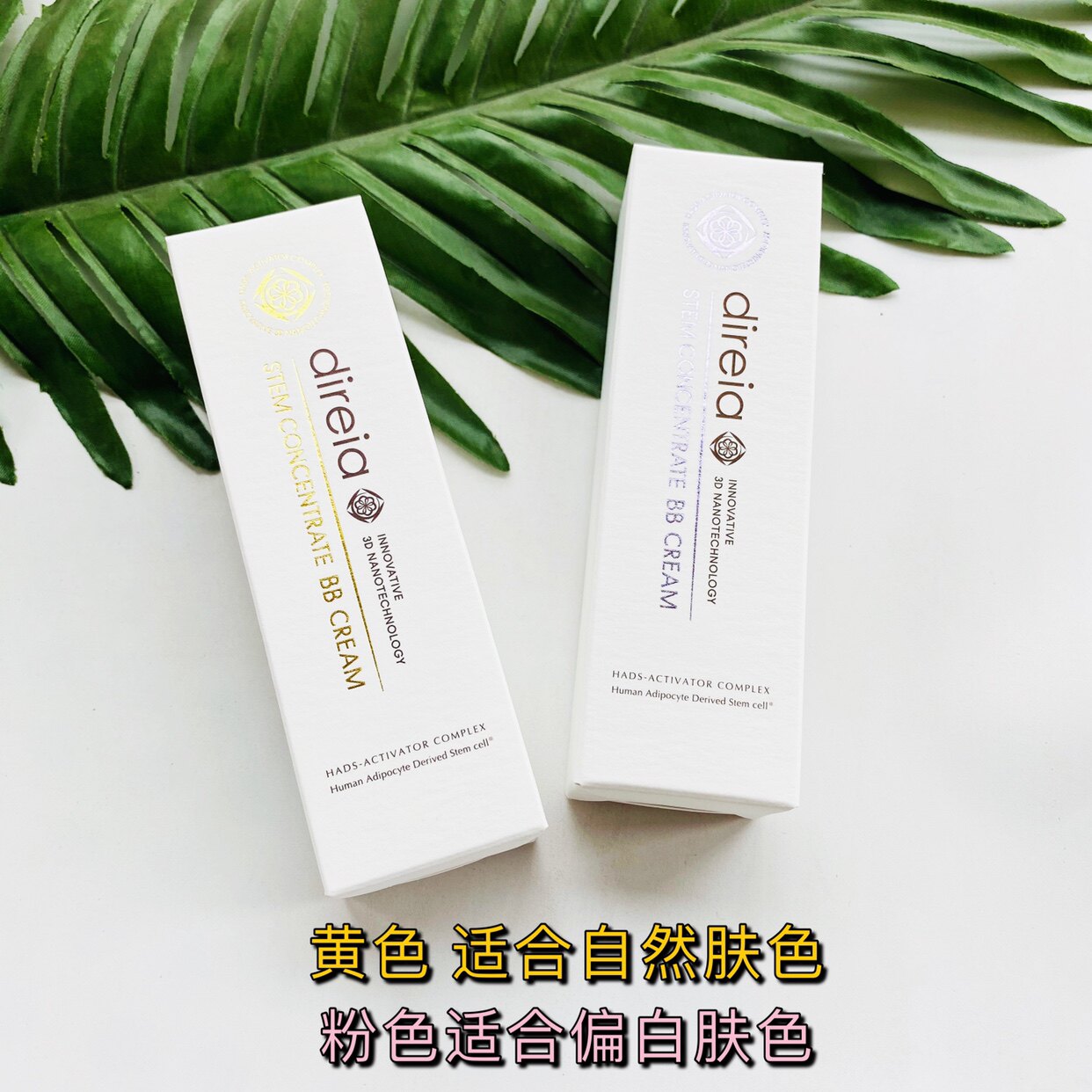 Japanese direia plant extract BB cream moisturizing concealer brightens skin sensitive muscle