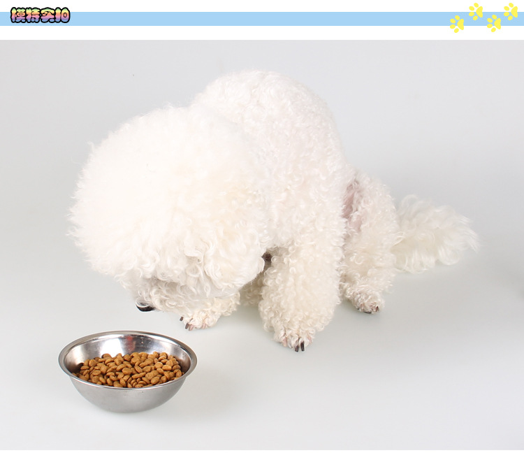 SKV Shi Kewei dog thức ăn chính Teddy Tha Mồi Vàng thức ăn cho chó puppies sữa bánh thực phẩm để nước mắt tất cả các con chó giống thức ăn vật nuôi đồ ăn cho chó