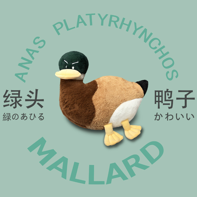 Cat-Style Forgiving Mallard Duck Plush Toy, Funny Doll, Sofa Pillow Cushion, Bed Cheering Duck, ins Internet-Famous Duck