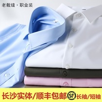 High-end white shirt mens long sleeves Spring and Autumn plus size cotton shirt blue business professional non-iron fixed Logo