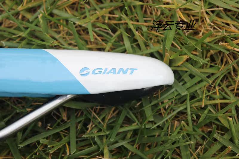 Selle de vélo Mountain Bike GIANT - Ref 2345767 Image 31