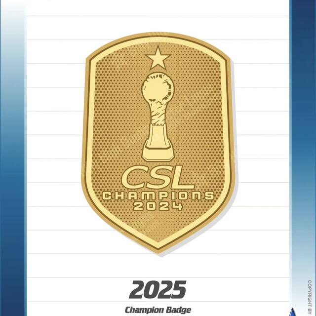 2025 Chinese Super League Chinese League One Team Sponsor Advertisement Player Name and Number Chest Advertisement Chinese Super League Arouses Billions of Hearts