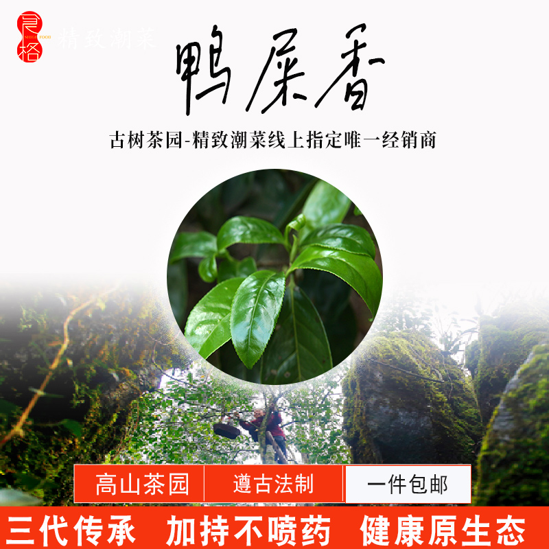 Cook the centuries-old tree age (duck poop aroma) without spraying the alpine special-grade Ubong single-bushes Phoenix single-fir tea leaves