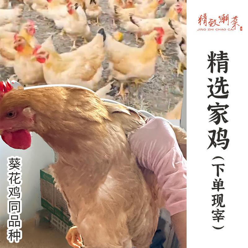 Exquisite Chaozhou cuisine, same variety as Guangdong sunflower chicken