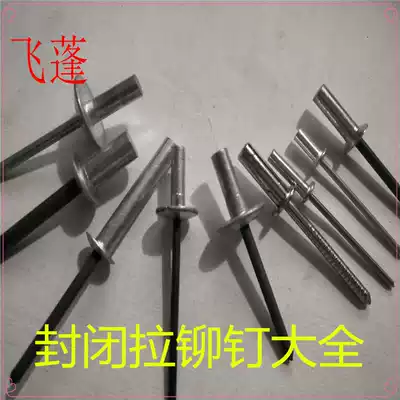 Factory round head closed closed waterproof rivets blind rivets aluminum rivets rivets