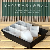 12 из YM03+прозрачные 10 -сантиметровые квадратные горшки 12