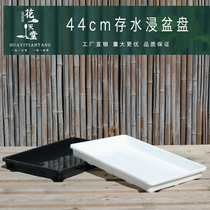 New succulent flower pot finishing tray rectangular plastic tray soaking basin water storage plant turnover stuffy cultivation planting