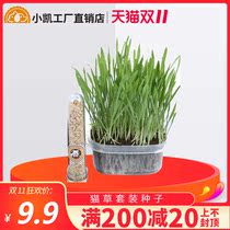 Cat grass set seeds cat hair removal ball cat mint cat grass planting set natural barley seeds