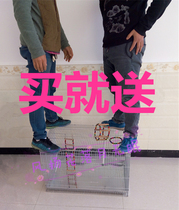 Wire bird cage Parrot cage Tiger skin Xuanfeng Starling thick galvanized oversized breeding cage bird cage cage