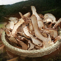 Authentic Tibetan Nyingchi Matsutake 100g Childrens matsutake dried dried slices Super Yunnan northeast Matsutake mushroom