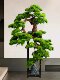 Simulated Real Wood Welcoming Pine Green Plant, Living Room Artificial Tree, Hotel Clubhouse Decoration, Opening Gift, Large Floor-Standing Ornament