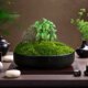 Everlasting Real Moss Plant, New Chinese-Style Bonsai Moss Micro-Landscape, Desktop Tea Room Model Room Decoration, Floral Art Potted Plant
