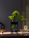 Artificial Welcoming Pine Tree Living Room Decoration Creative Fake Tree Green Plant Tea Room Pine Bonsai Home Office Desktop Decoration