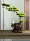 New Chinese-Style Artificial Welcoming Pine Tree, Flexible Green Plant Decoration for Home, Indoor Tea Space, Hotel, Club, Soft Decoration