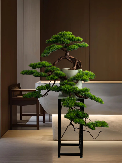 Living Room Solid Wood Artificial Welcoming Pine, Living Room Green Plant Black Pine Bonsai, Chinese Restaurant Five-Needle Pine Plant, Arborvitae Ornament
