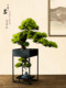 Artificial Welcoming Pine Tree Living Room Decoration Creative Fake Tree Green Plant Tea Room Pine Bonsai Home Office Desktop Decoration