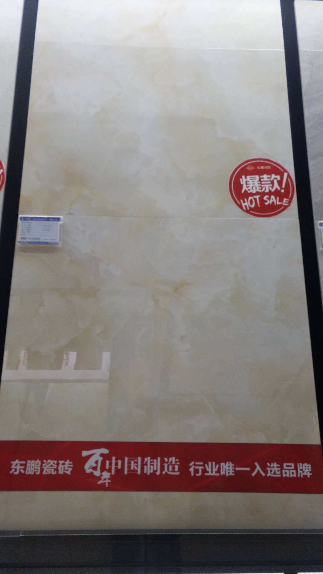 Dongpeng Tile-Tianshan Jasper