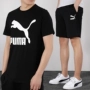 Puma Hummer phù hợp với nam 2019 hè mới phù hợp với trang phục thể thao rộng rãi quần short tay ngắn năm quần - Thể thao sau bộ nỉ adidas nam chính hãng